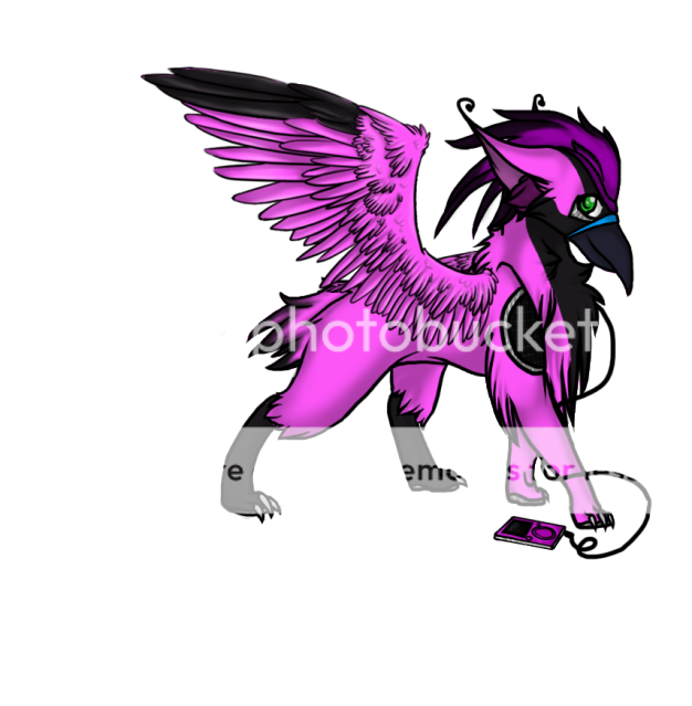 User Image